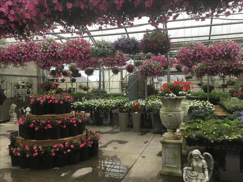 Gallrein Farms Shelbyville, KY